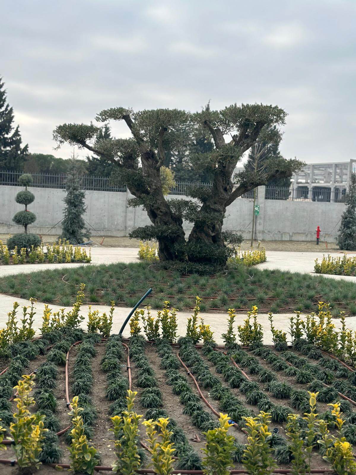 Çorlu Fabrika Bahçesi Peyzaj Düzenleme